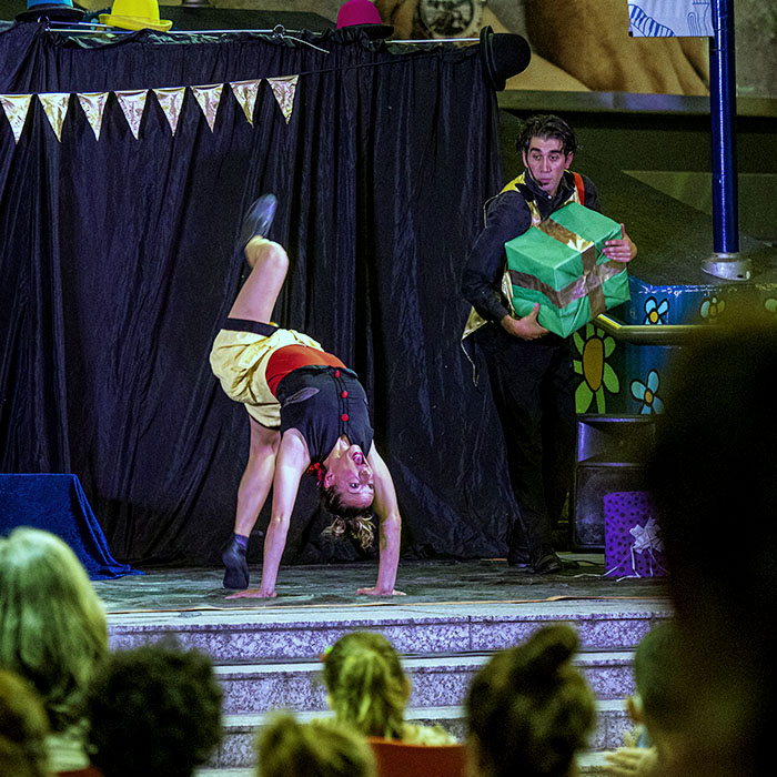 Algarabía circulos 2